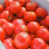 Crochets pour tomate (10 pcs) – Image 2