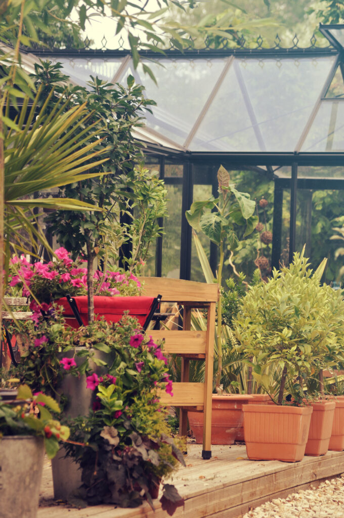 Que puis-je cultiver sous ma serre de jardin ? - Serre de jardin