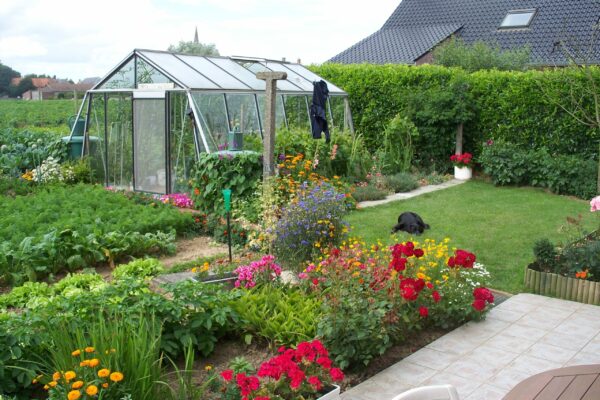 Serre en verre – Oblique – S2 – Largeur 3,80 m – Image 2