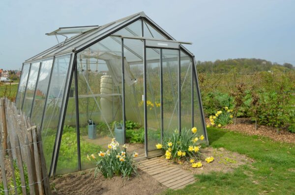 Serre en verre – Oblique – S1 – Largeur 3,06 m – Image 2